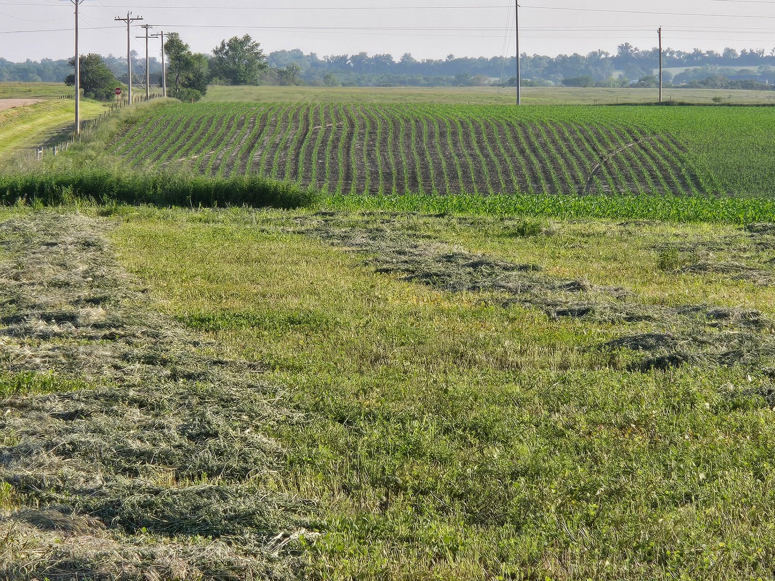 Image for Farm Headquarters with 157.06+/- Acres in Holt County, NE