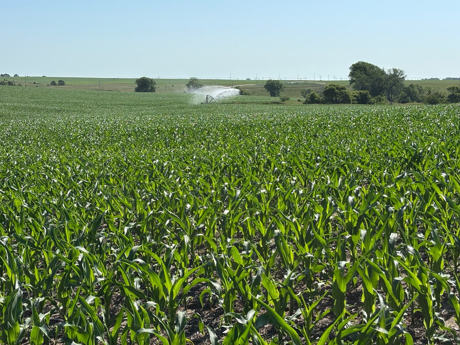 Image for Farm Headquarters with 157.06+/- Acres in Holt County, NE