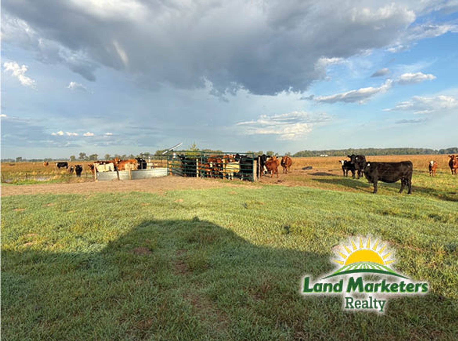 Image for 320+/- Acres located approx. 7 miles South of O'Neill, NE