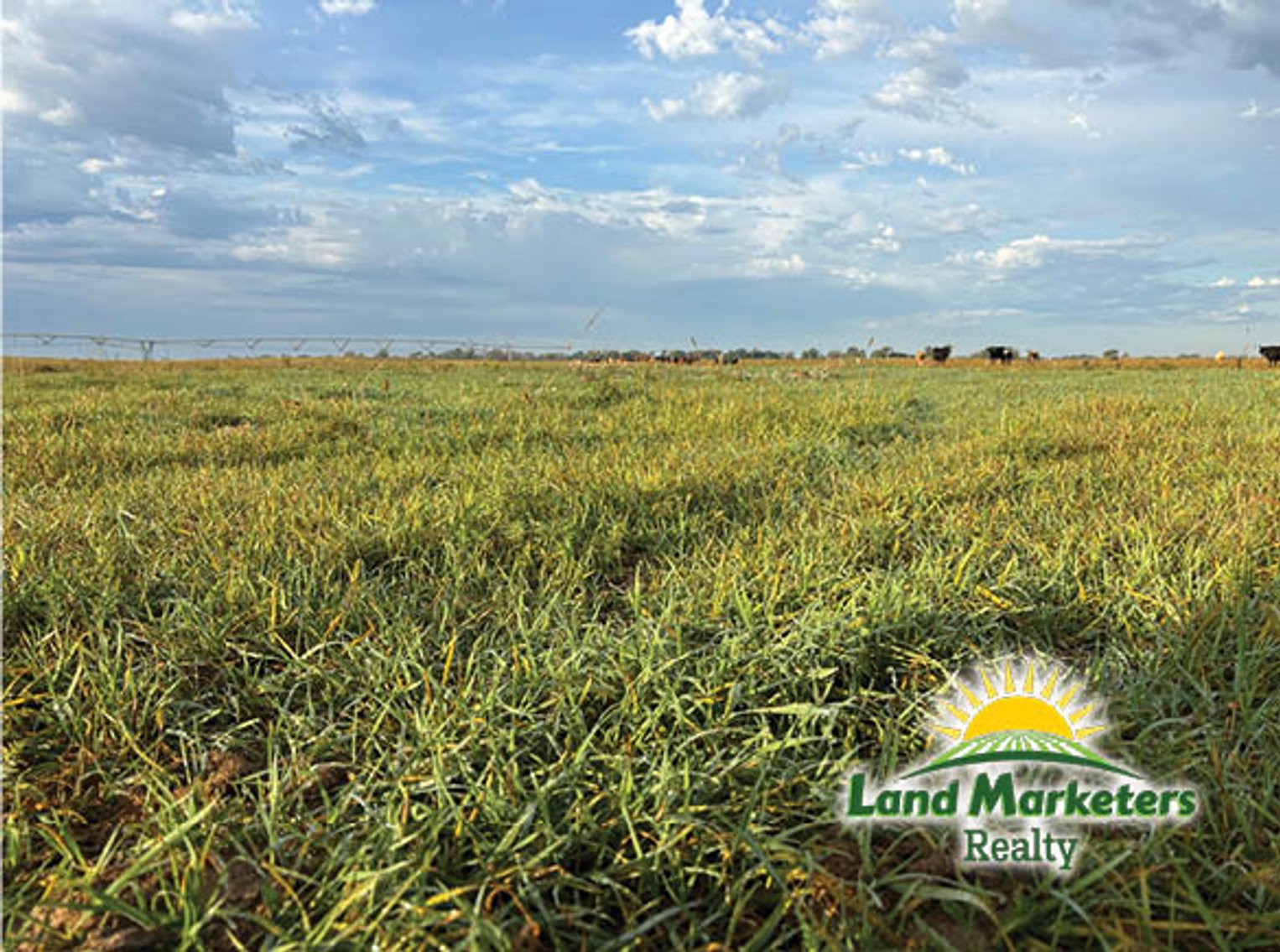 Image for 320+/- Acres located approx. 7 miles South of O'Neill, NE