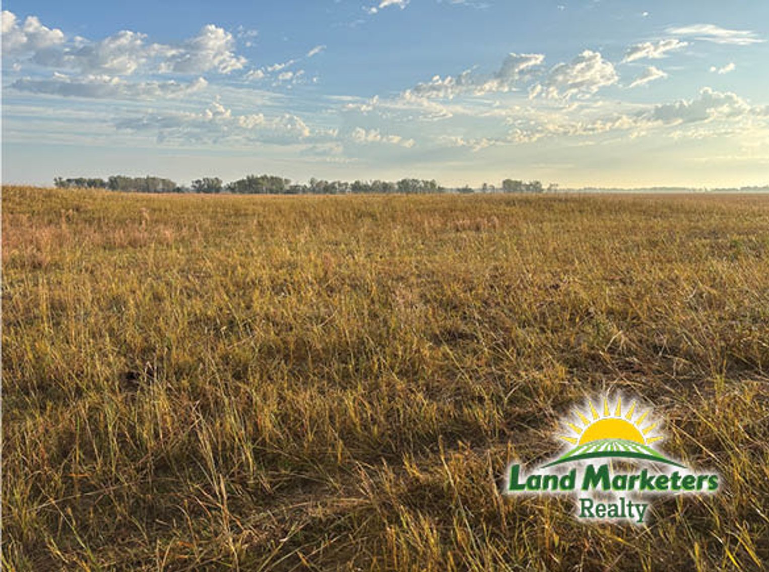 Image for 320+/- Acres located approx. 7 miles South of O'Neill, NE