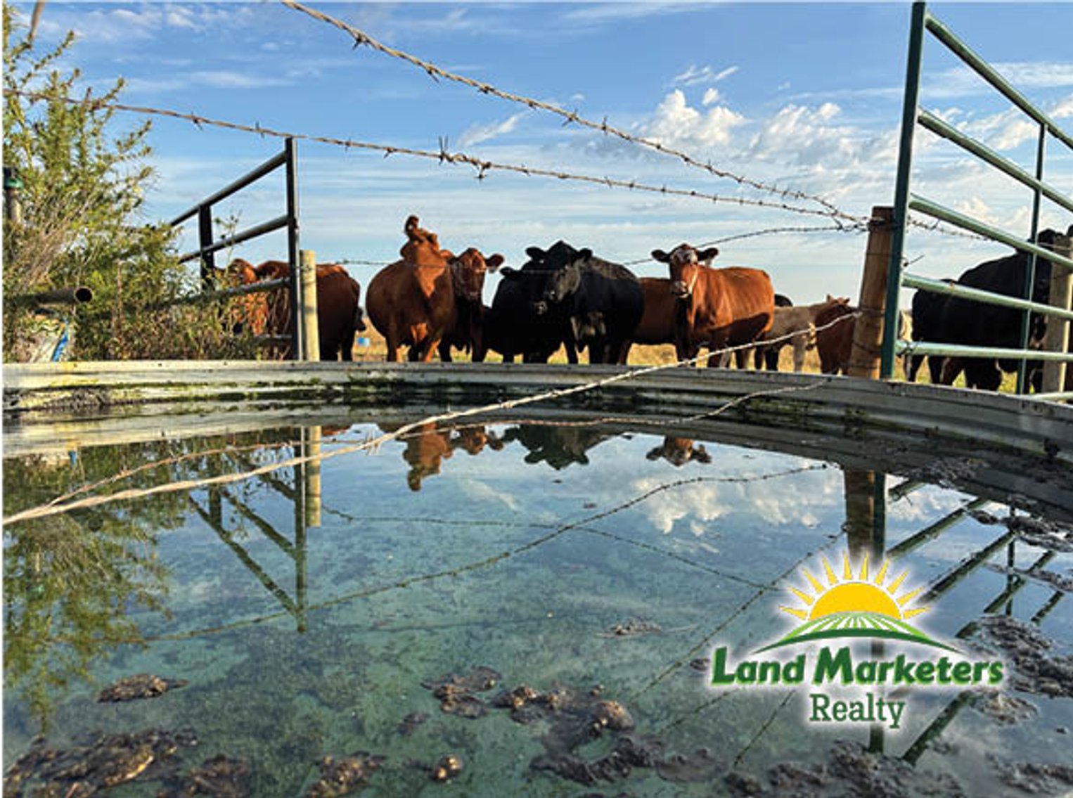 Image for 320+/- Acres located approx. 7 miles South of O'Neill, NE