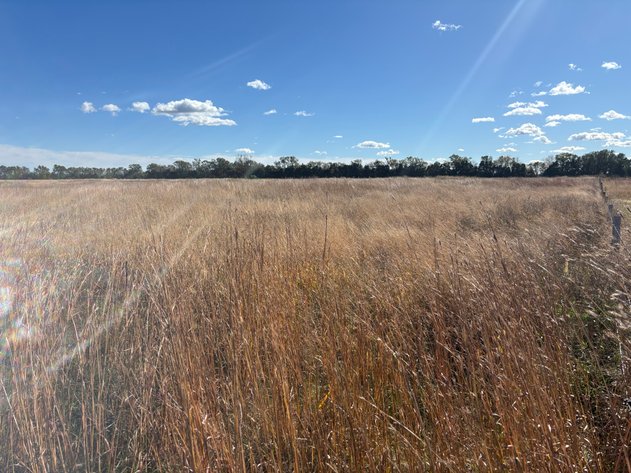Image for 39+/- Acres North Carberry Street in Atkinson, NE