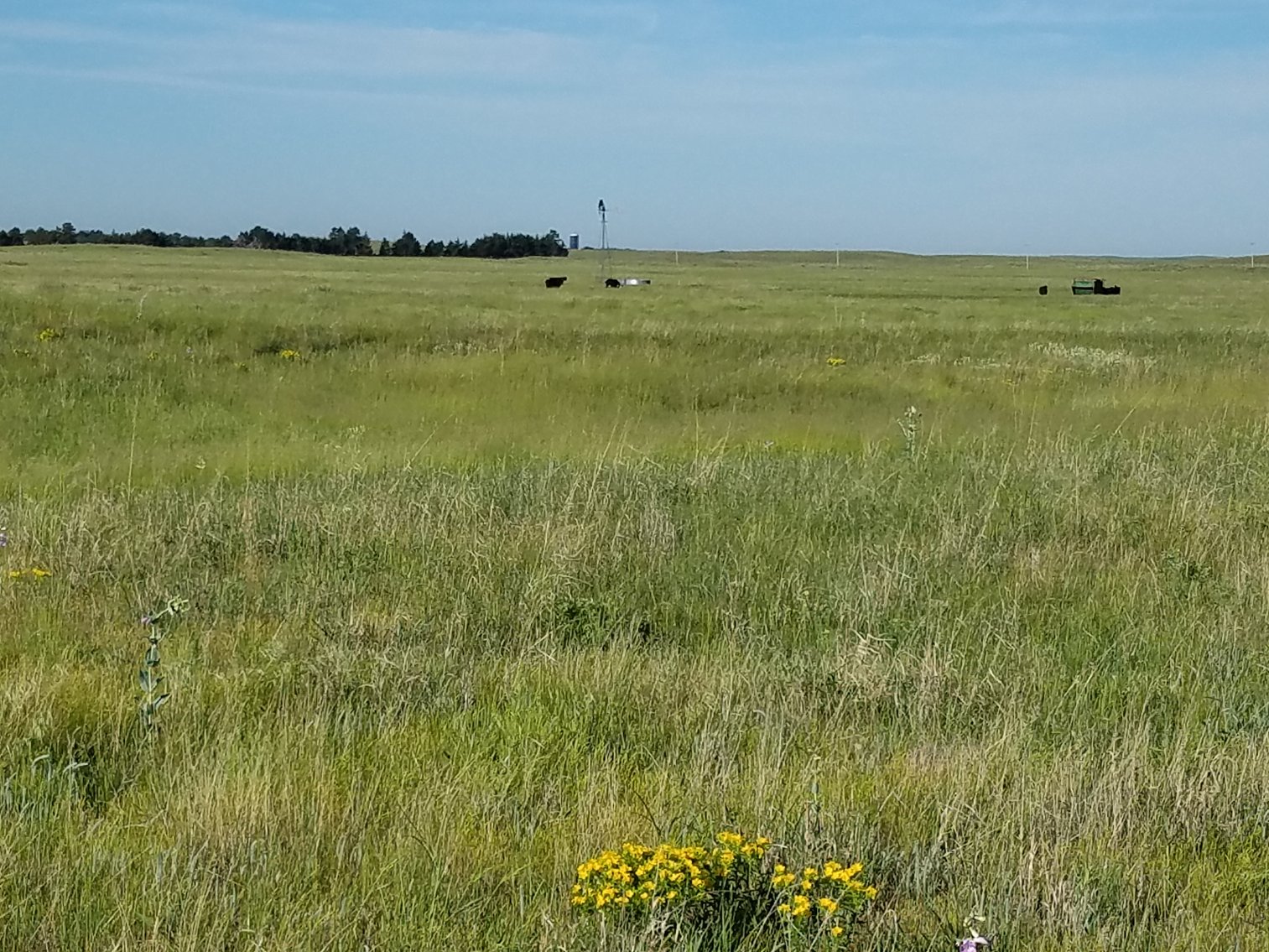 Image for 2,586.17+/- Acres in Holt County, NE Offered in 2 Tracts