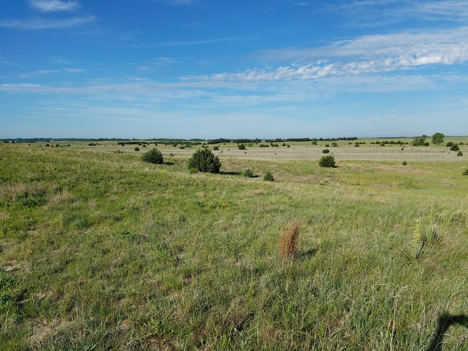 Image for 2,586.17+/- Acres in Holt County, NE Offered in 2 Tracts