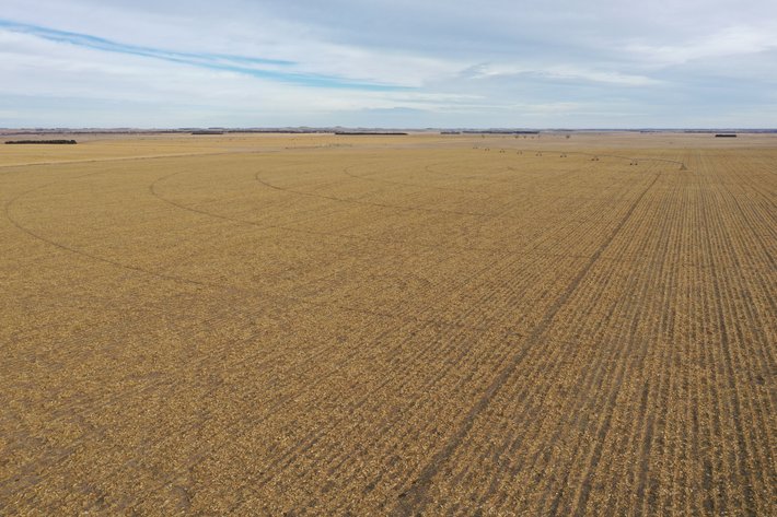 Image for 332.55+/- Acres in Boyd County, Nebraska