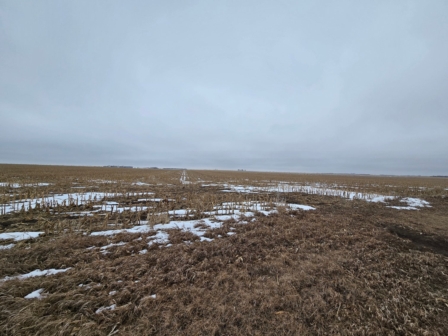Image for 160+/- Acres in Boyd County, NE