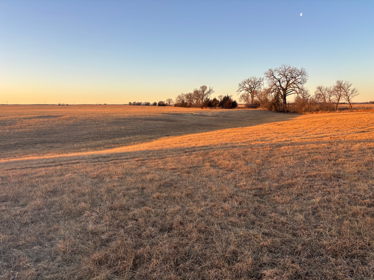 Image for 160+/- Acres in Holt County, NE