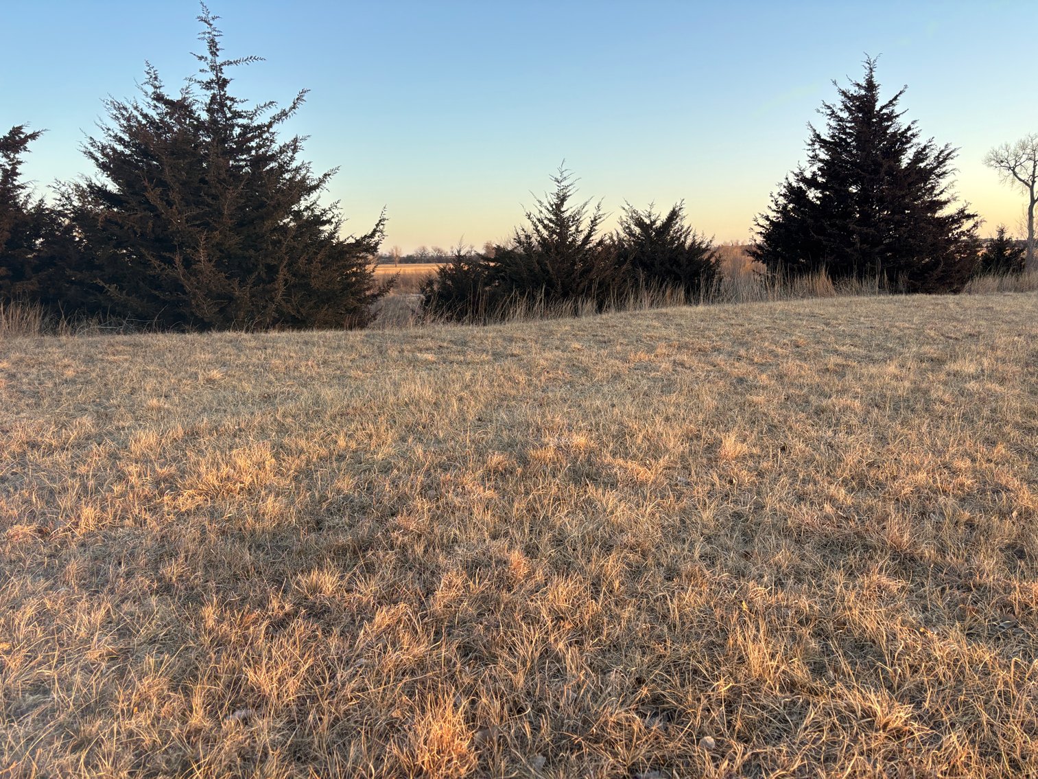 Image for 160+/- Acres in Holt County, NE