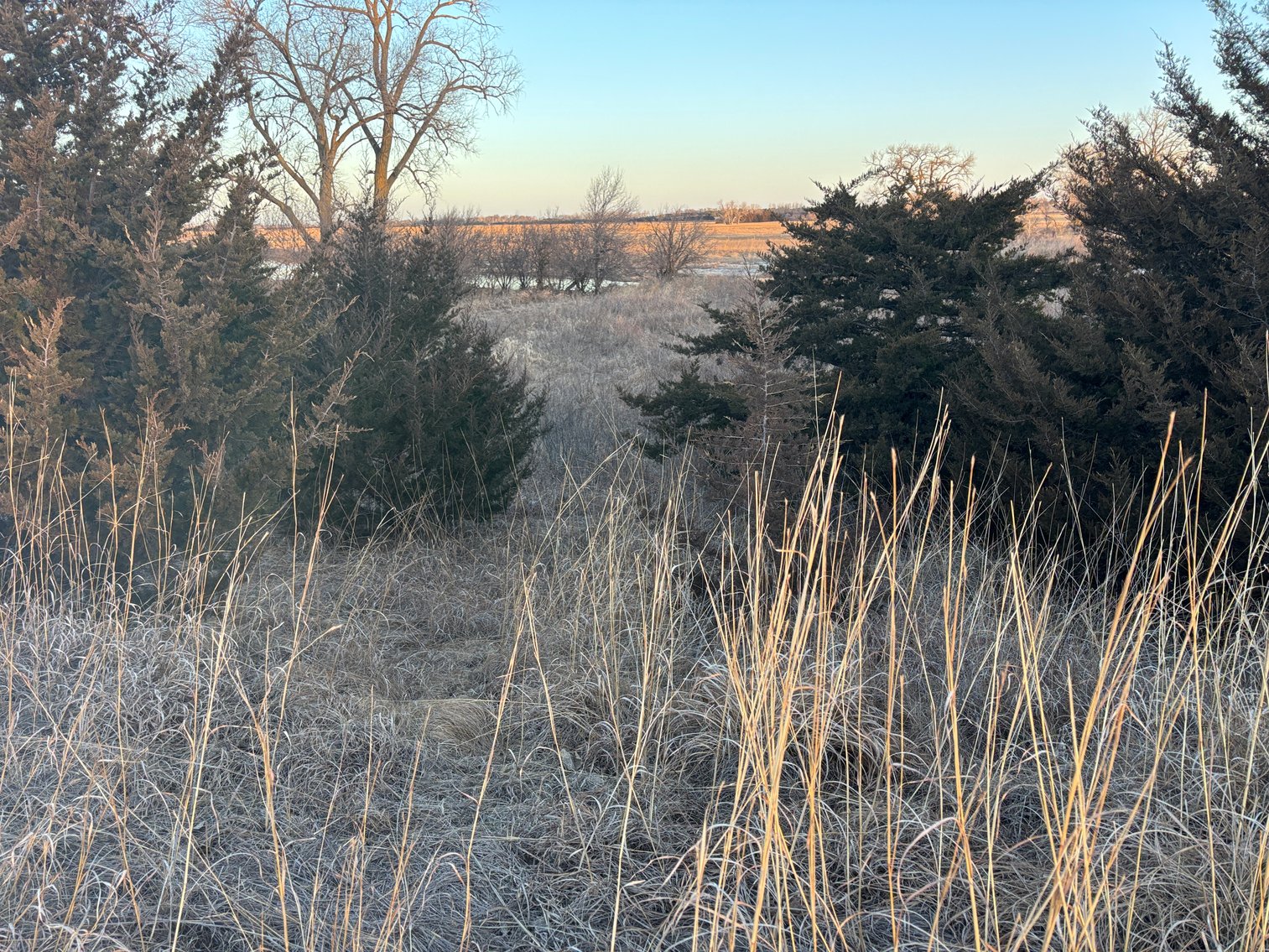 Image for 160+/- Acres in Holt County, NE