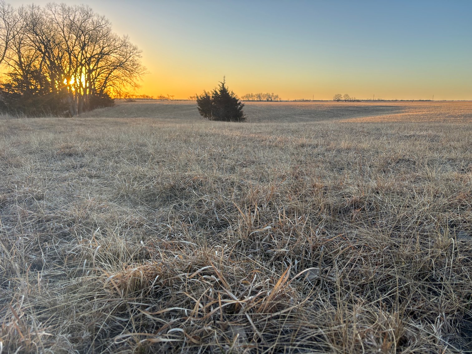 Image for 160+/- Acres in Holt County, NE