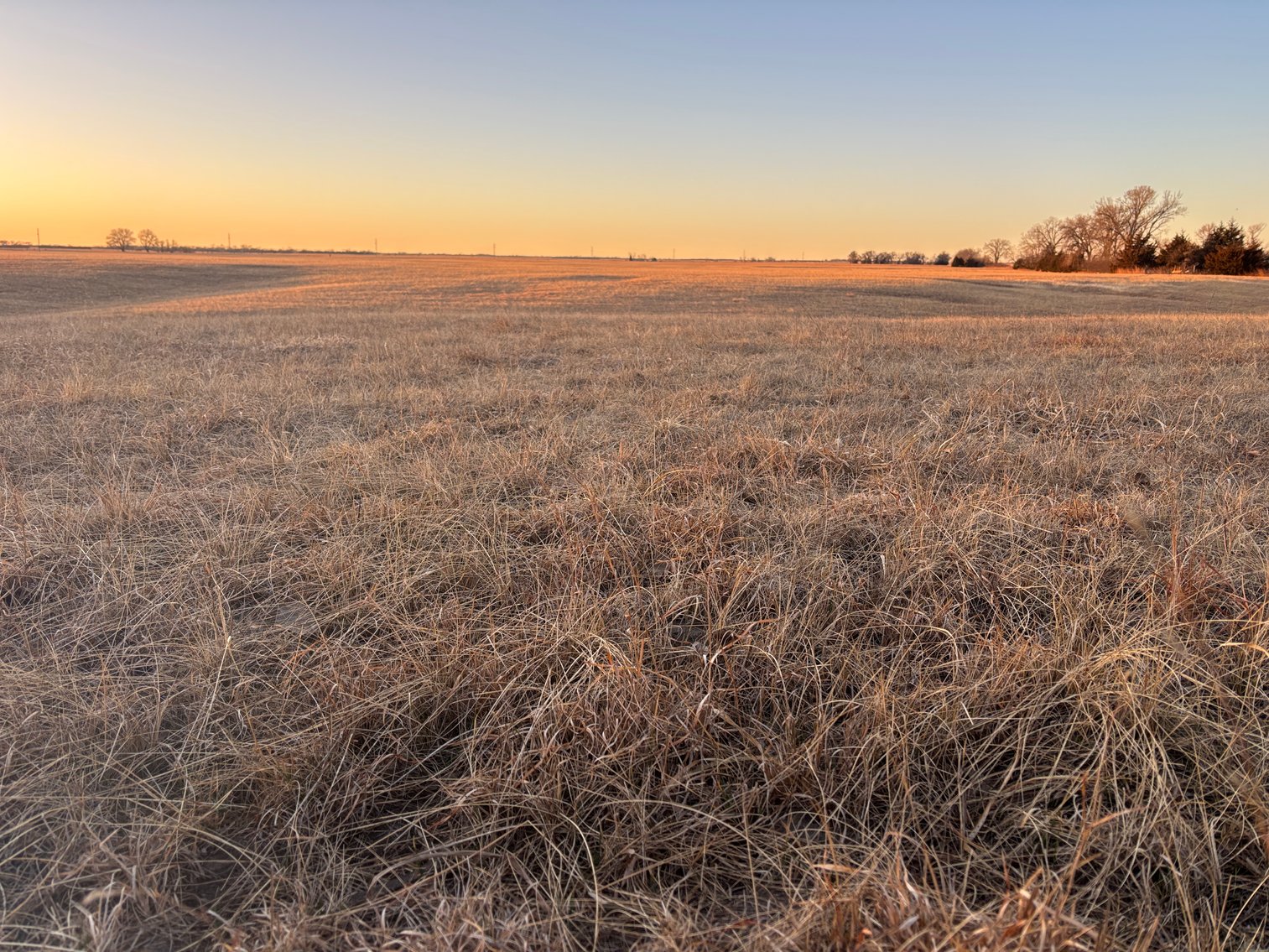 Image for 160+/- Acres in Holt County, NE