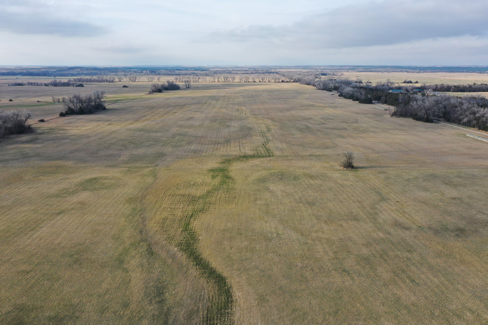 Image for Ziems Farm LLC 80+/- Acres Online Auction ONLY