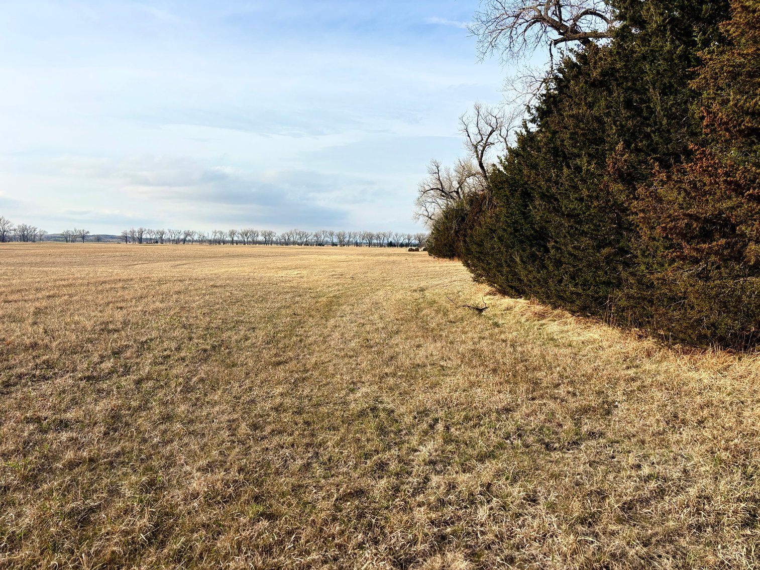Image for Ziems Farm LLC 80+/- Acres Online Auction ONLY