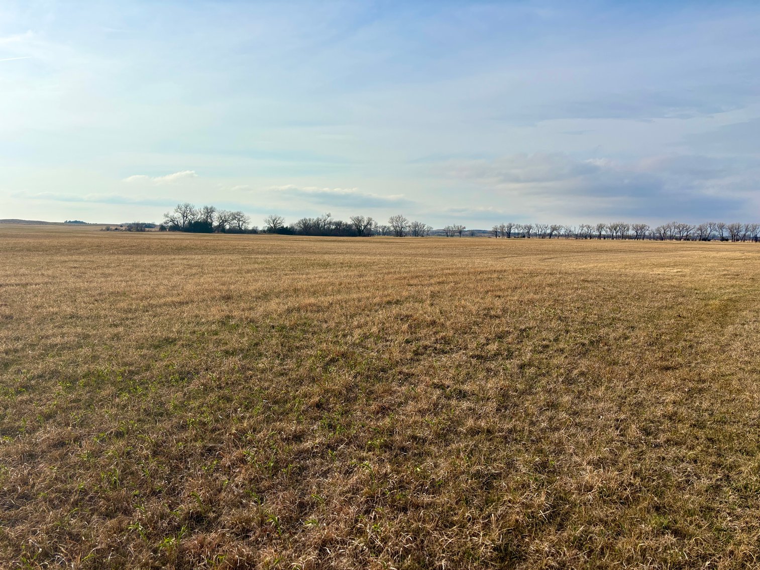 Image for Ziems Farm LLC 80+/- Acres Online Auction ONLY