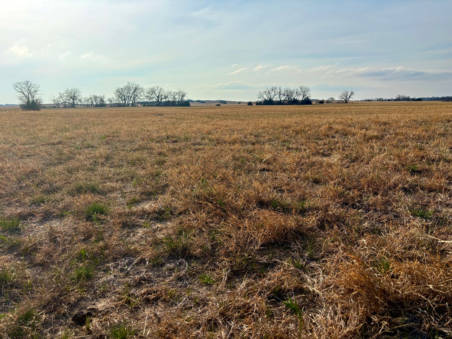 Image for Ziems Farm LLC 80+/- Acres Online Auction ONLY