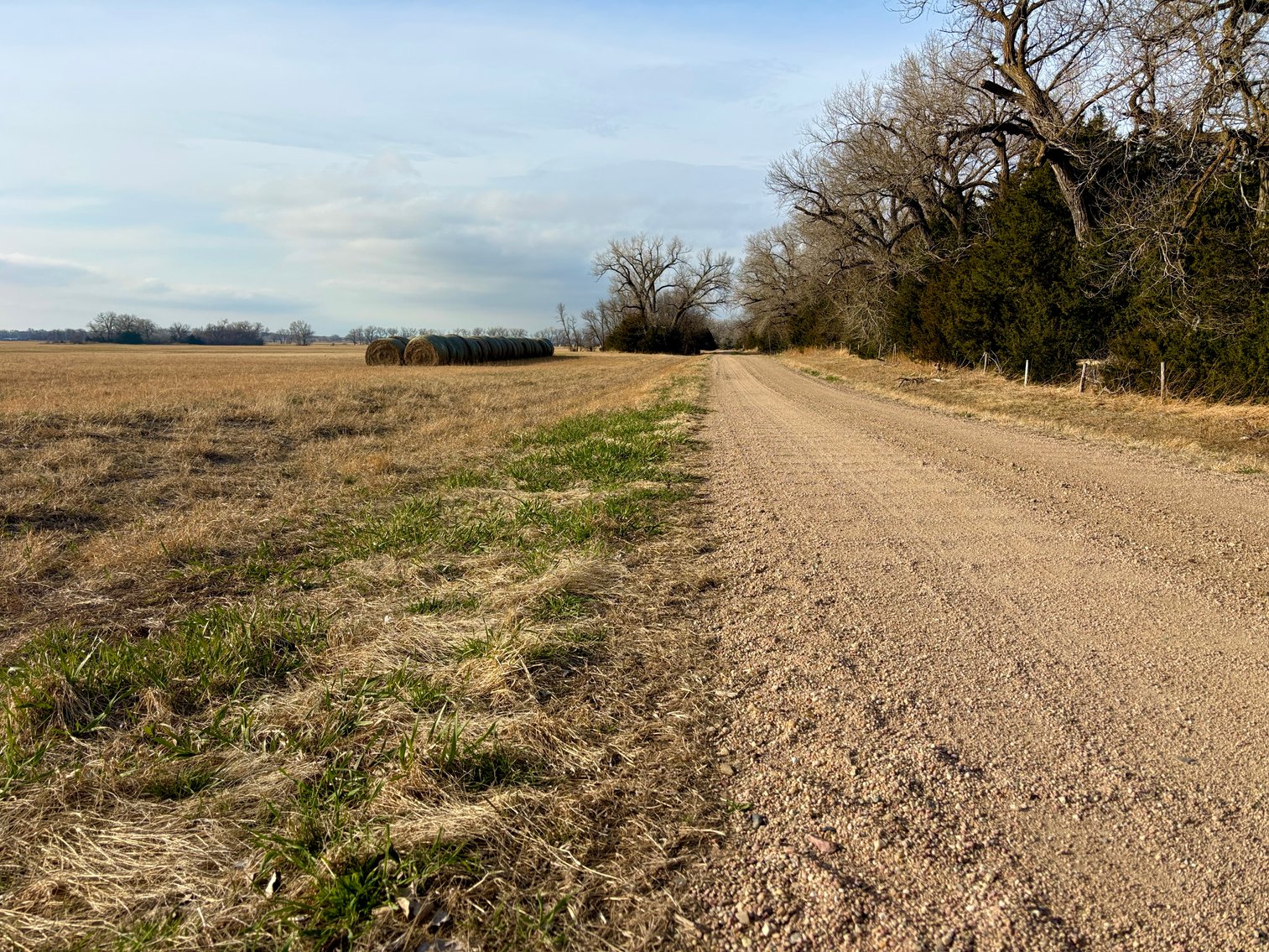 Image for Ziems Farm LLC 80+/- Acres Online Auction ONLY