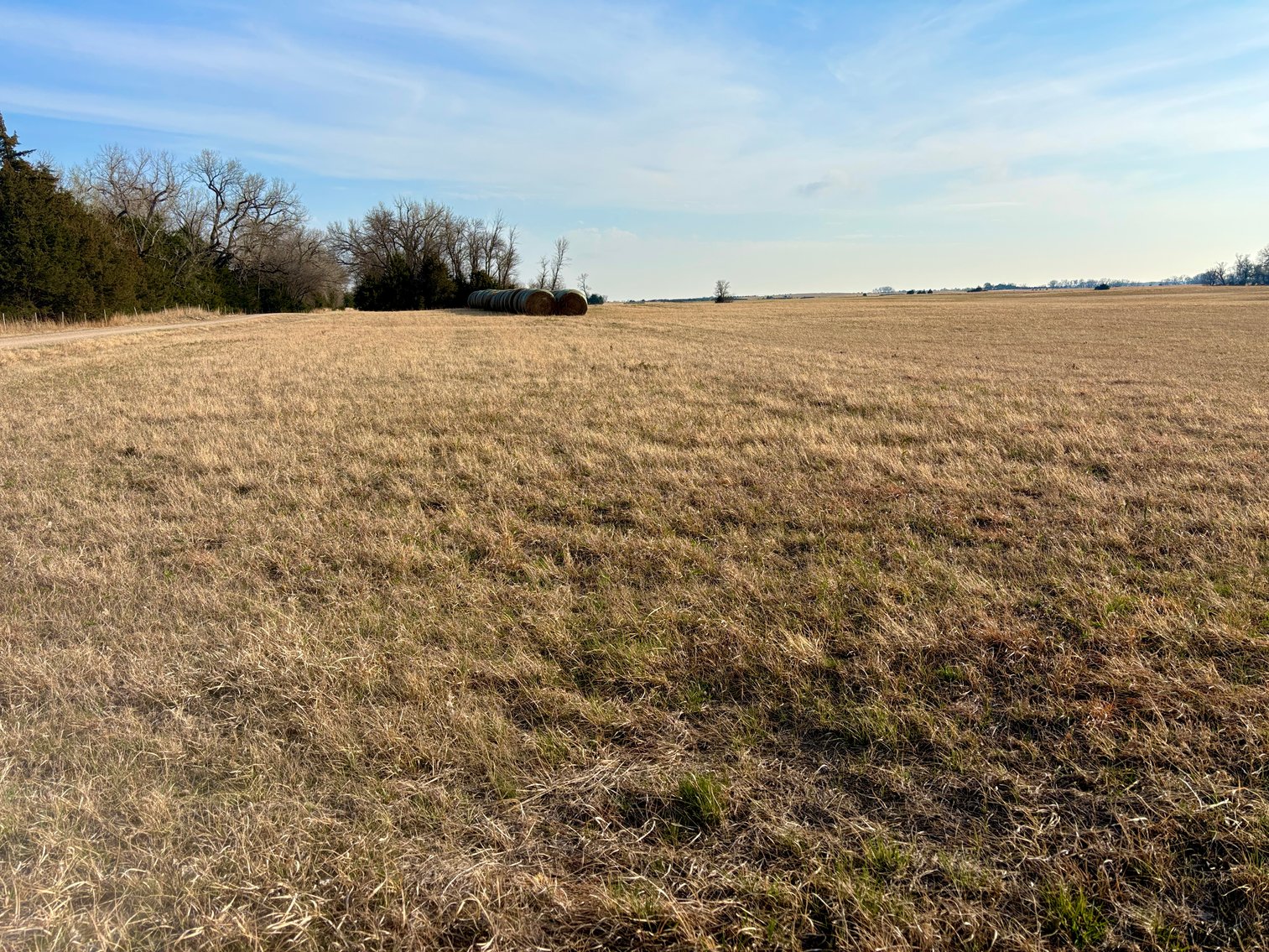 Image for Ziems Farm LLC 80+/- Acres Online Auction ONLY