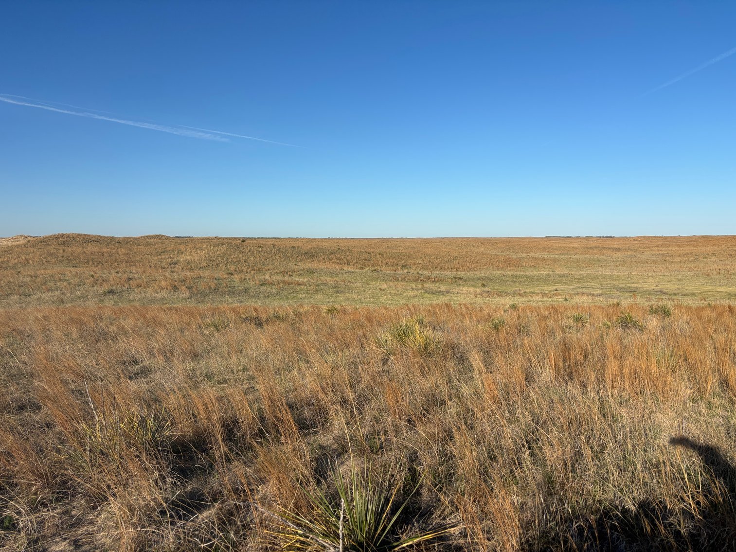 Image for 479.49+/- Acres in Holt County, NE