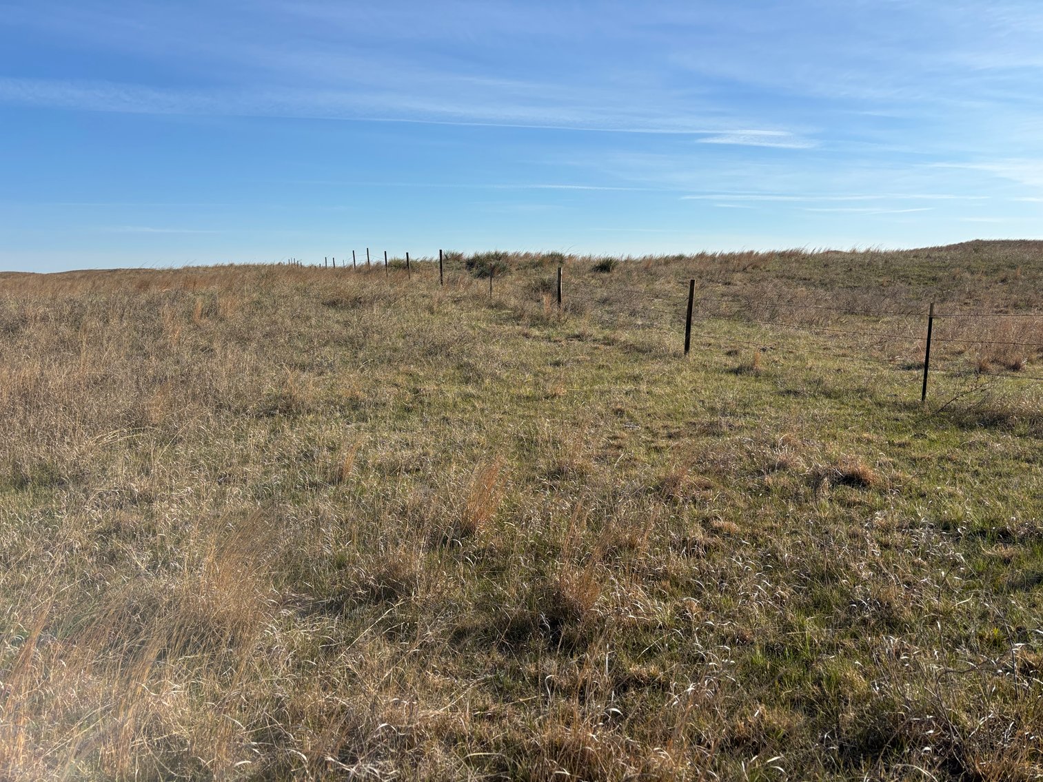 Image for 479.49+/- Acres in Holt County, NE