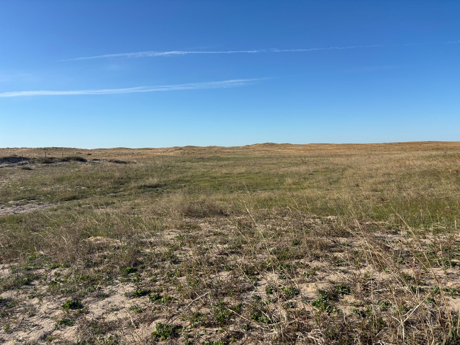Image for 479.49+/- Acres in Holt County, NE