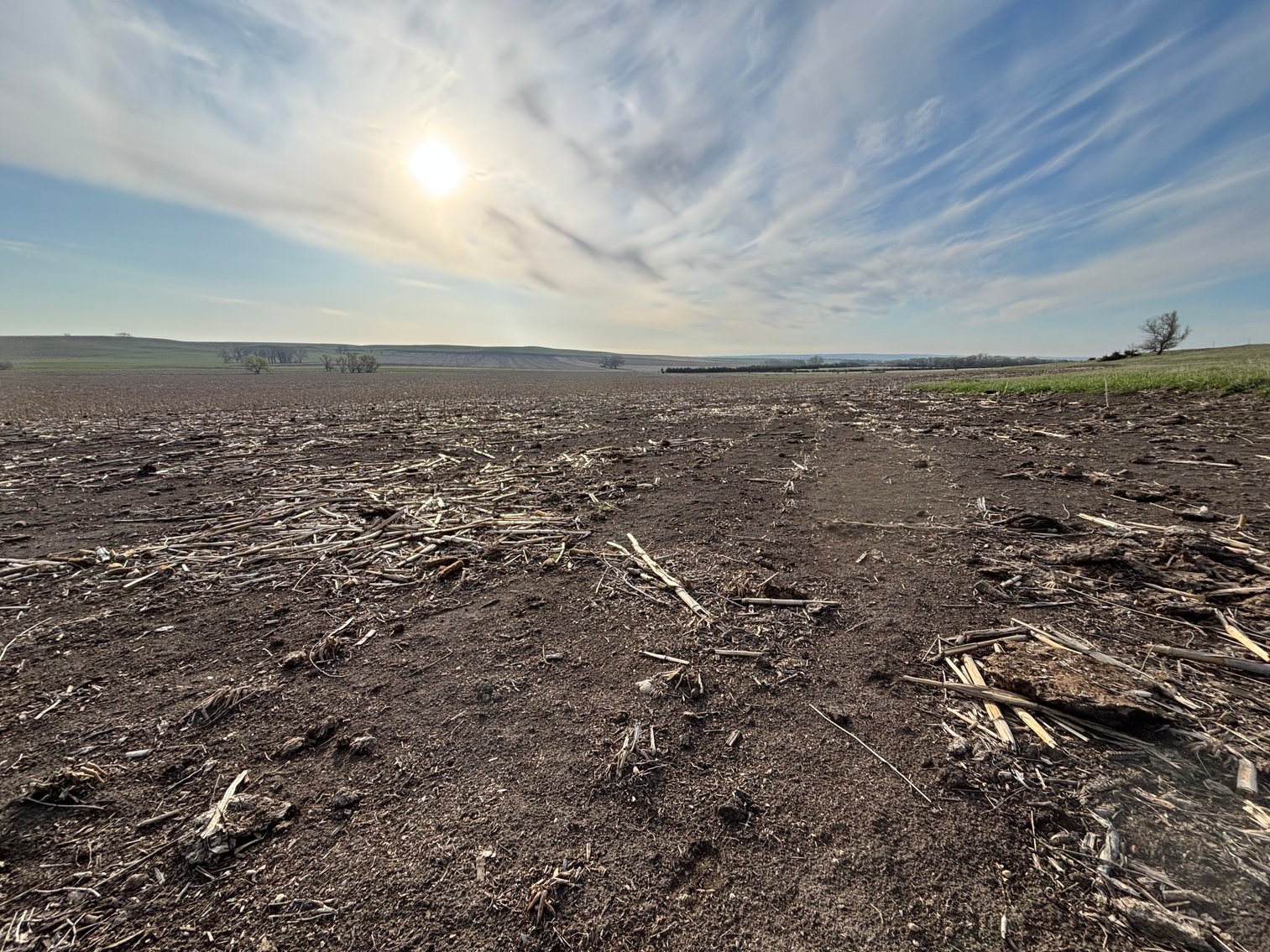 Image for 160+/- Acres in Charles Mix County, South Dakota >>>Online ONLY Real Estate Auction