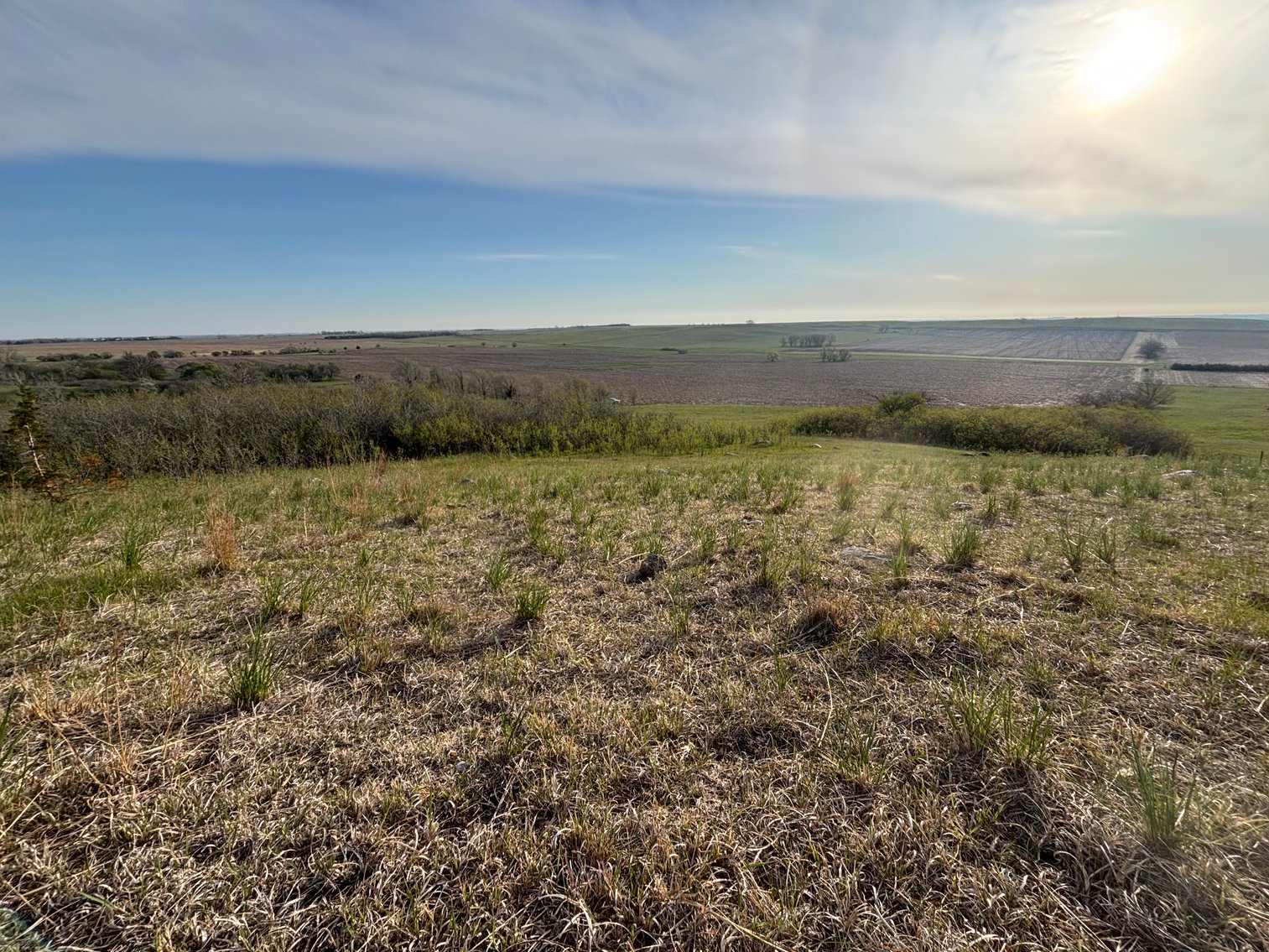 Image for 160+/- Acres in Charles Mix County, South Dakota >>>Online ONLY Real Estate Auction