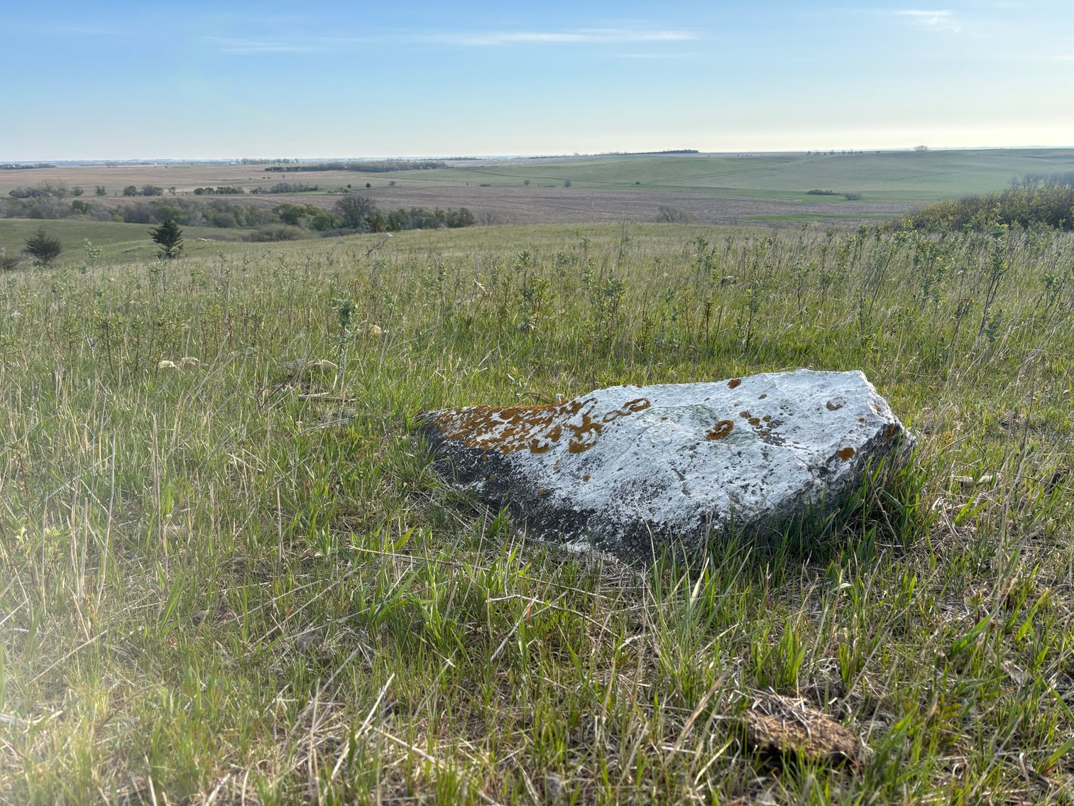 Image for 160+/- Acres in Charles Mix County, South Dakota >>>Online ONLY Real Estate Auction