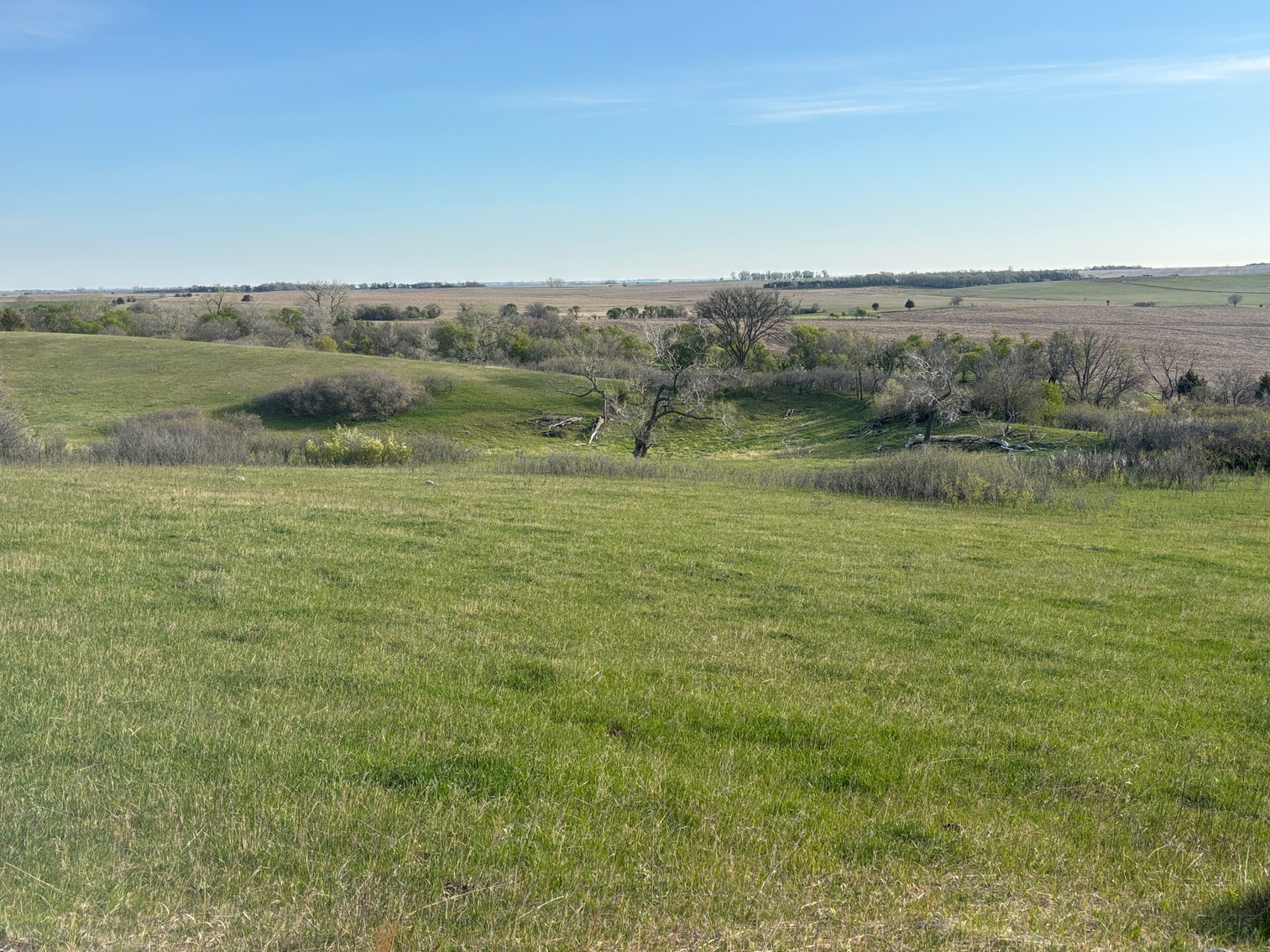 Image for 160+/- Acres in Charles Mix County, South Dakota >>>Online ONLY Real Estate Auction