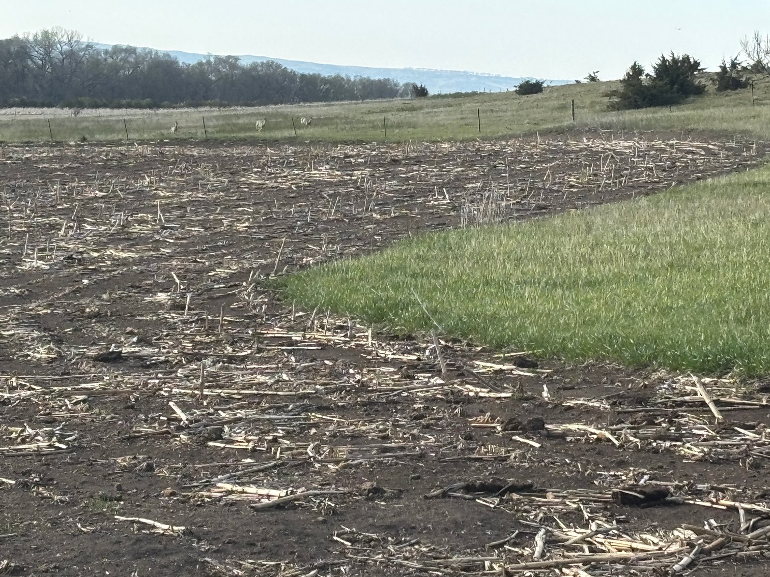 Image for 160+/- Acres in Charles Mix County, South Dakota >>>Online ONLY Real Estate Auction