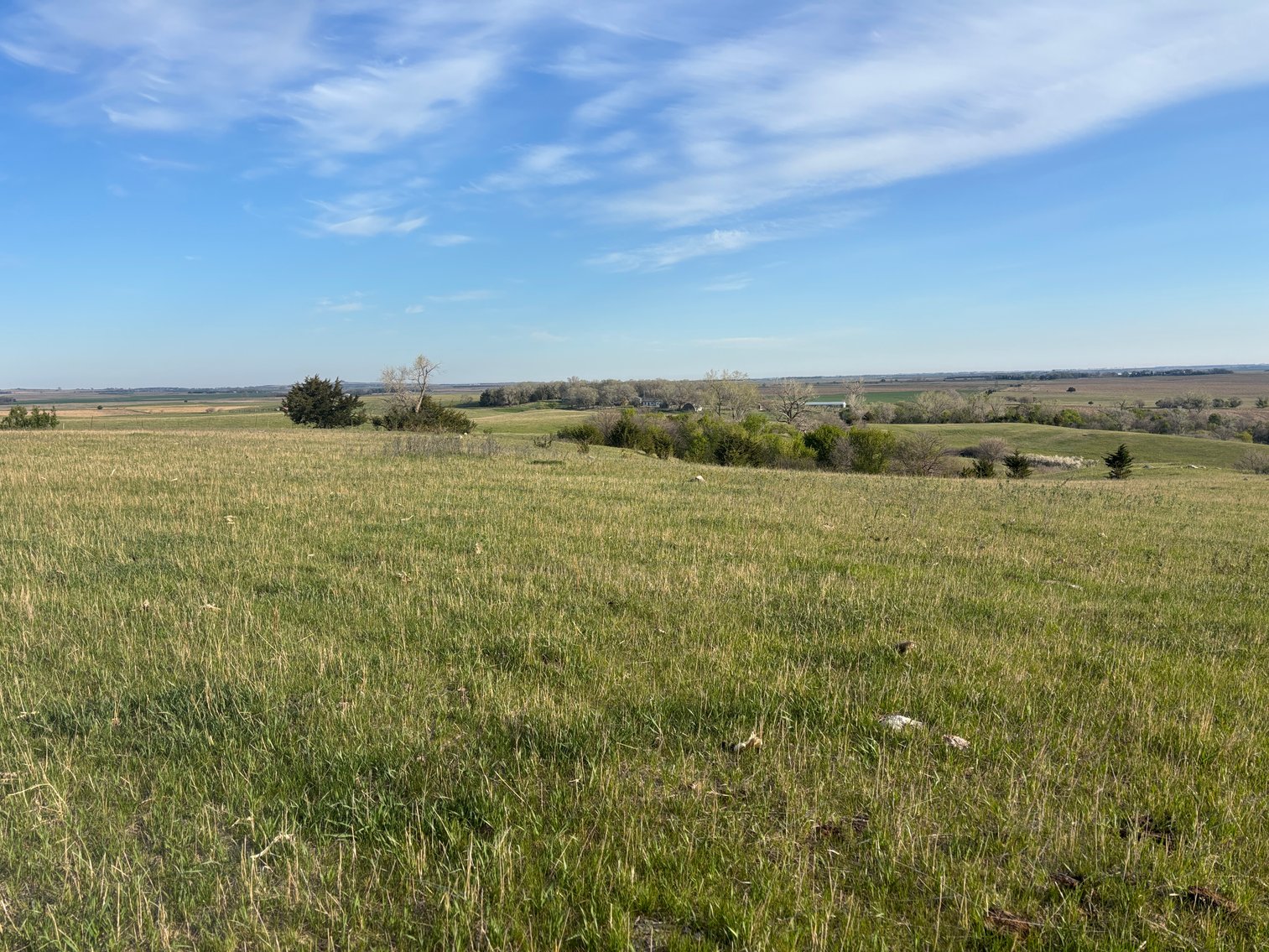 Image for 160+/- Acres in Charles Mix County, South Dakota >>>Online ONLY Real Estate Auction
