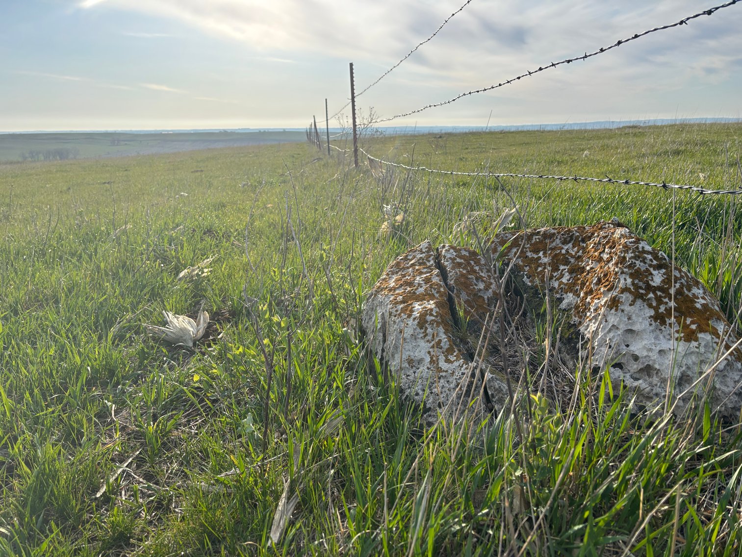 Image for 160+/- Acres in Charles Mix County, South Dakota >>>Online ONLY Real Estate Auction