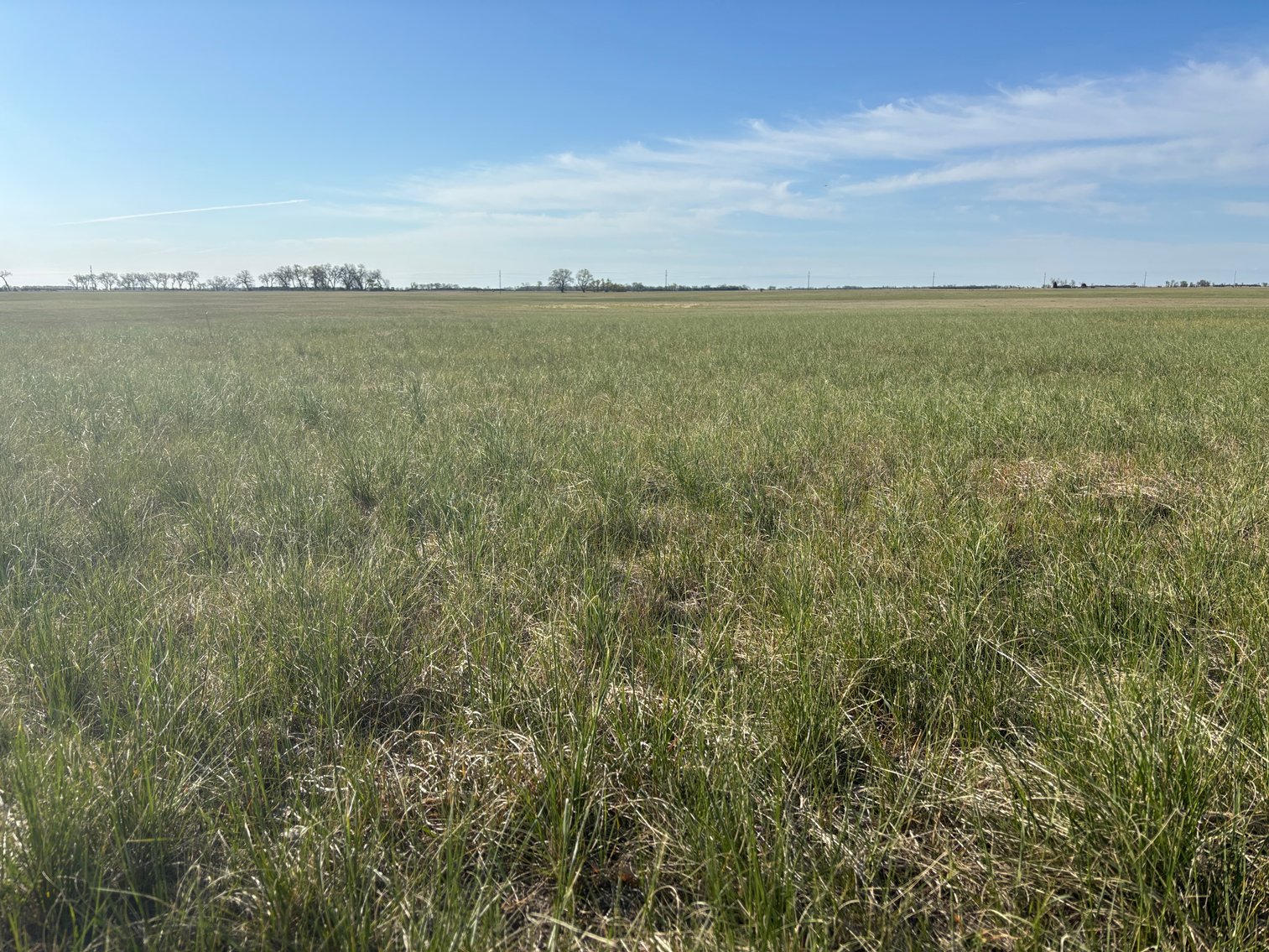 Image for 160+/- Acres in Holt County, NE