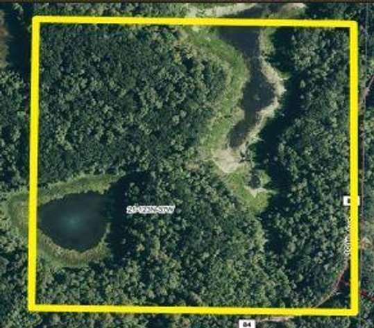 Image for DAVID W. BOHMER FAMILY TRUST POPE COUNTY HUNTING / RECREATION LAND ONLINE ONLY AUCTION