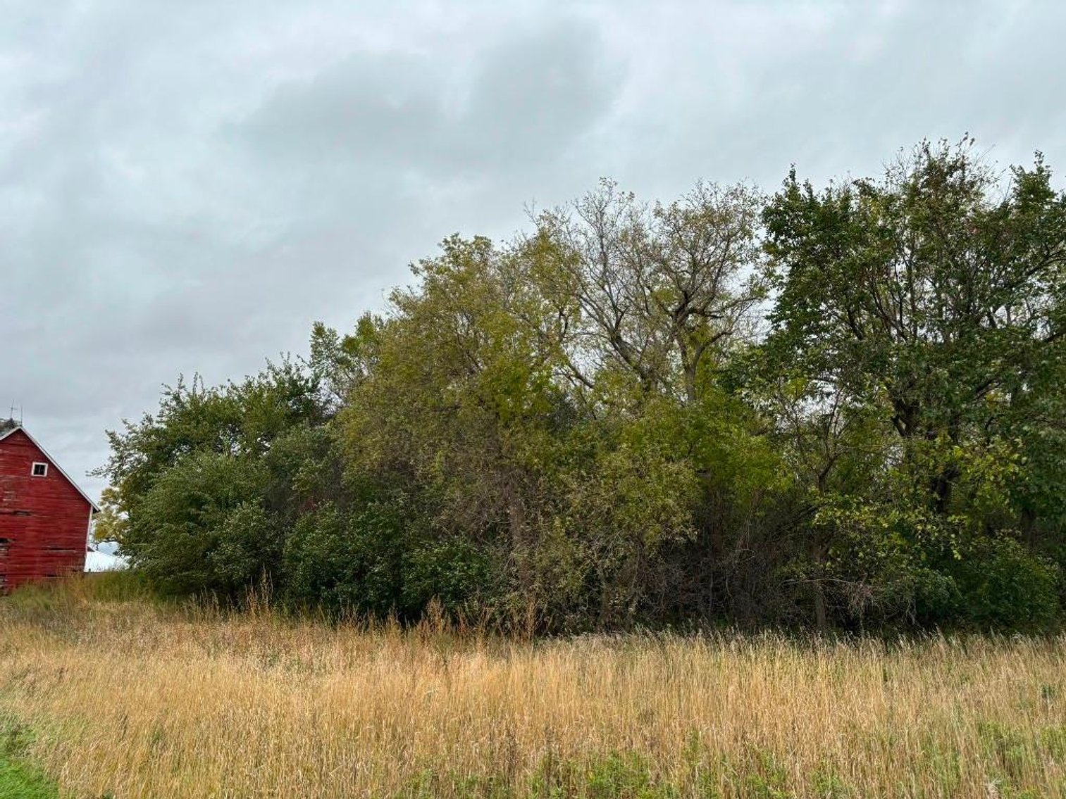 Image for DAVID WIEGERS ESTATE BUILDING SITE ONLINE ONLY AUCTION