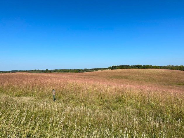 Image for JIM & CINDY HJELM ONLINE ONLY LAND AUCTION