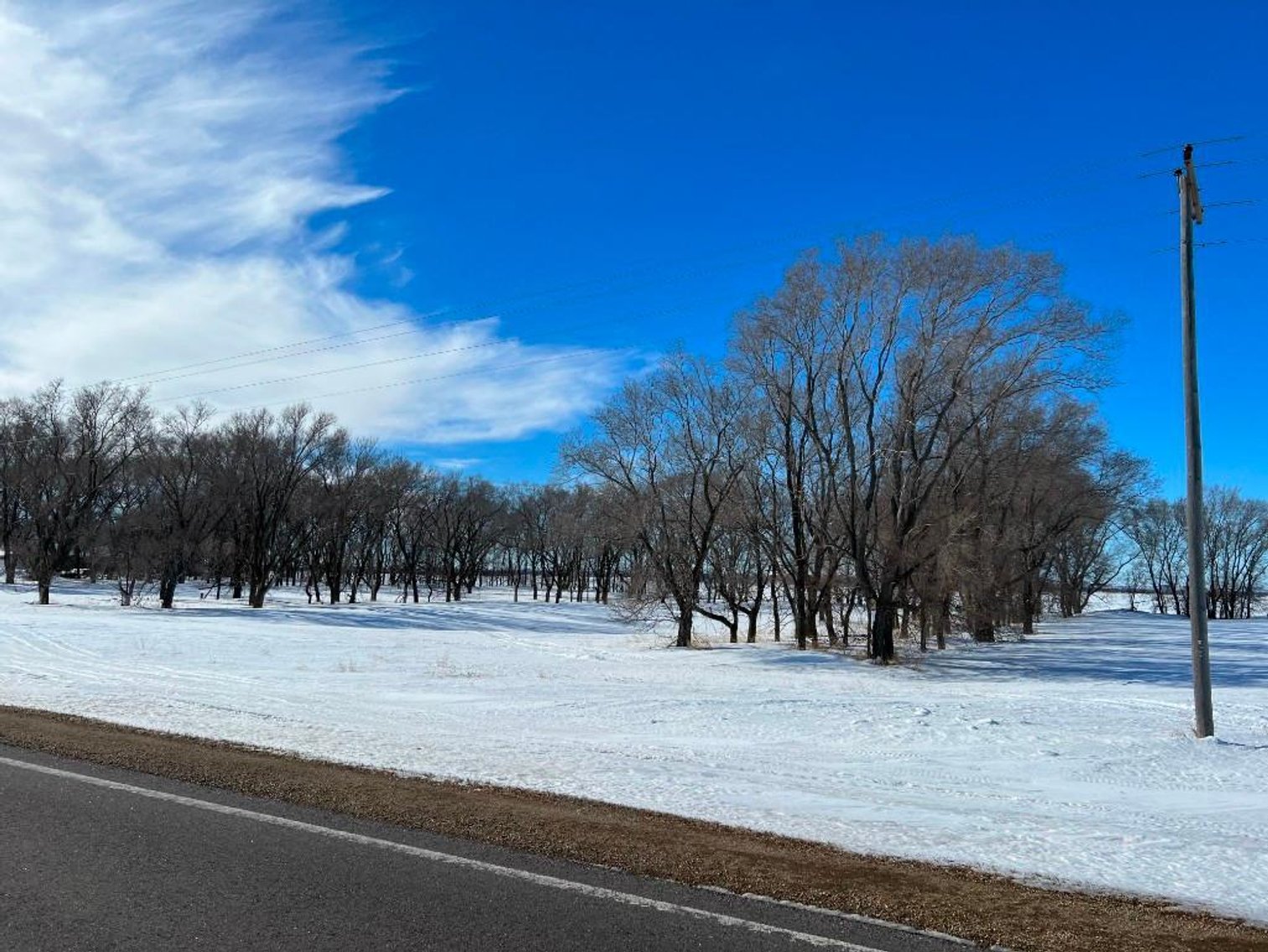 Image for DEAN & DOROTHY MILLER FARM LAND AND BUILDING SITE ONLINE ONLY AUCTION