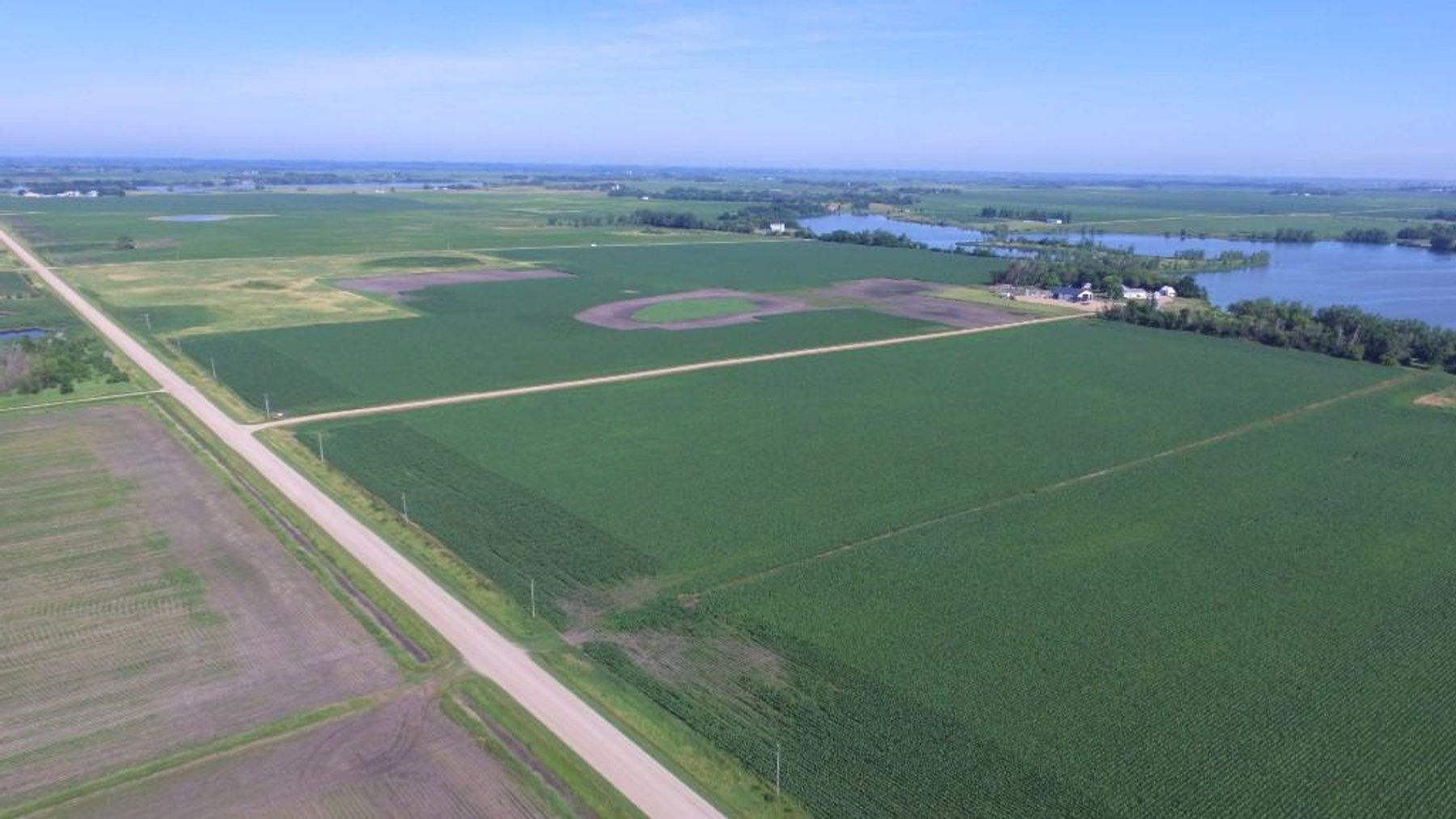 Image for ALVIN HANSON ESTATE SWIFT COUNTY FARM LAND ONLINE ONLY AUCTION 100+/- TILLABLE ACRES
