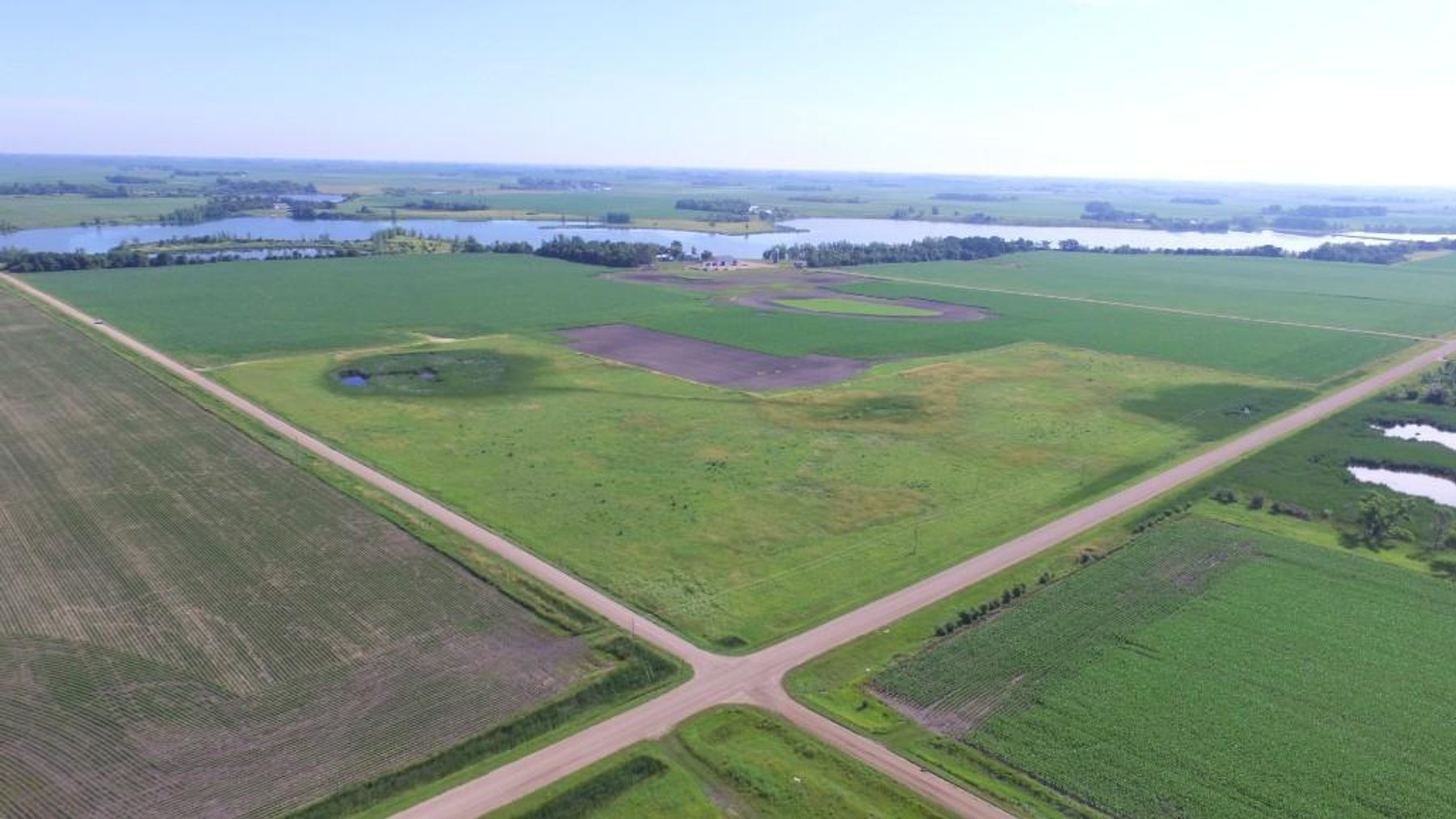 Image for ALVIN HANSON ESTATE SWIFT COUNTY FARM LAND ONLINE ONLY AUCTION 100+/- TILLABLE ACRES