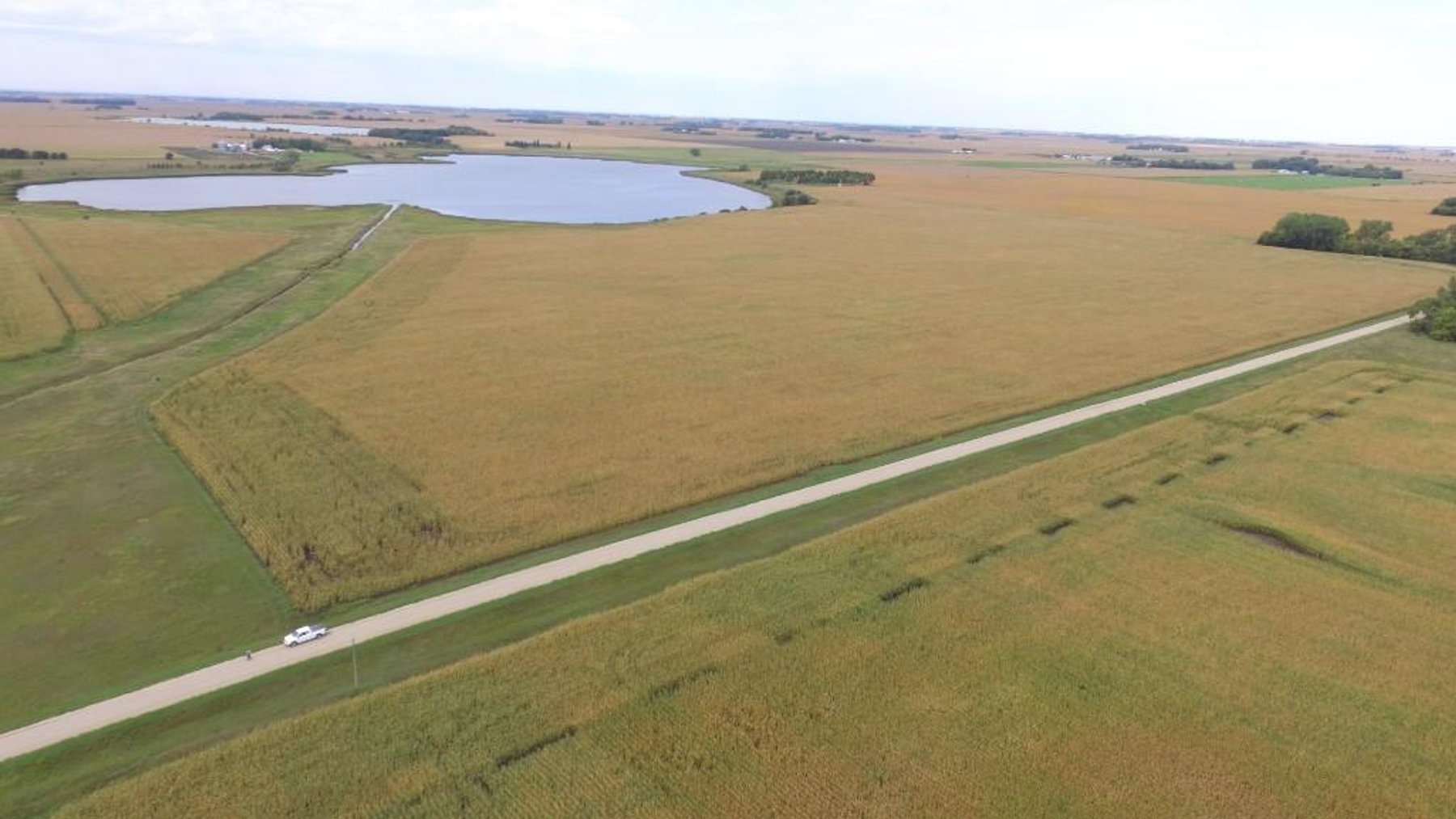 Image for NORMA JEAN SHELSTAD TRUST 181 ACRES IN STEVENS COUNTY MN ONLINE ONLY AUCTION