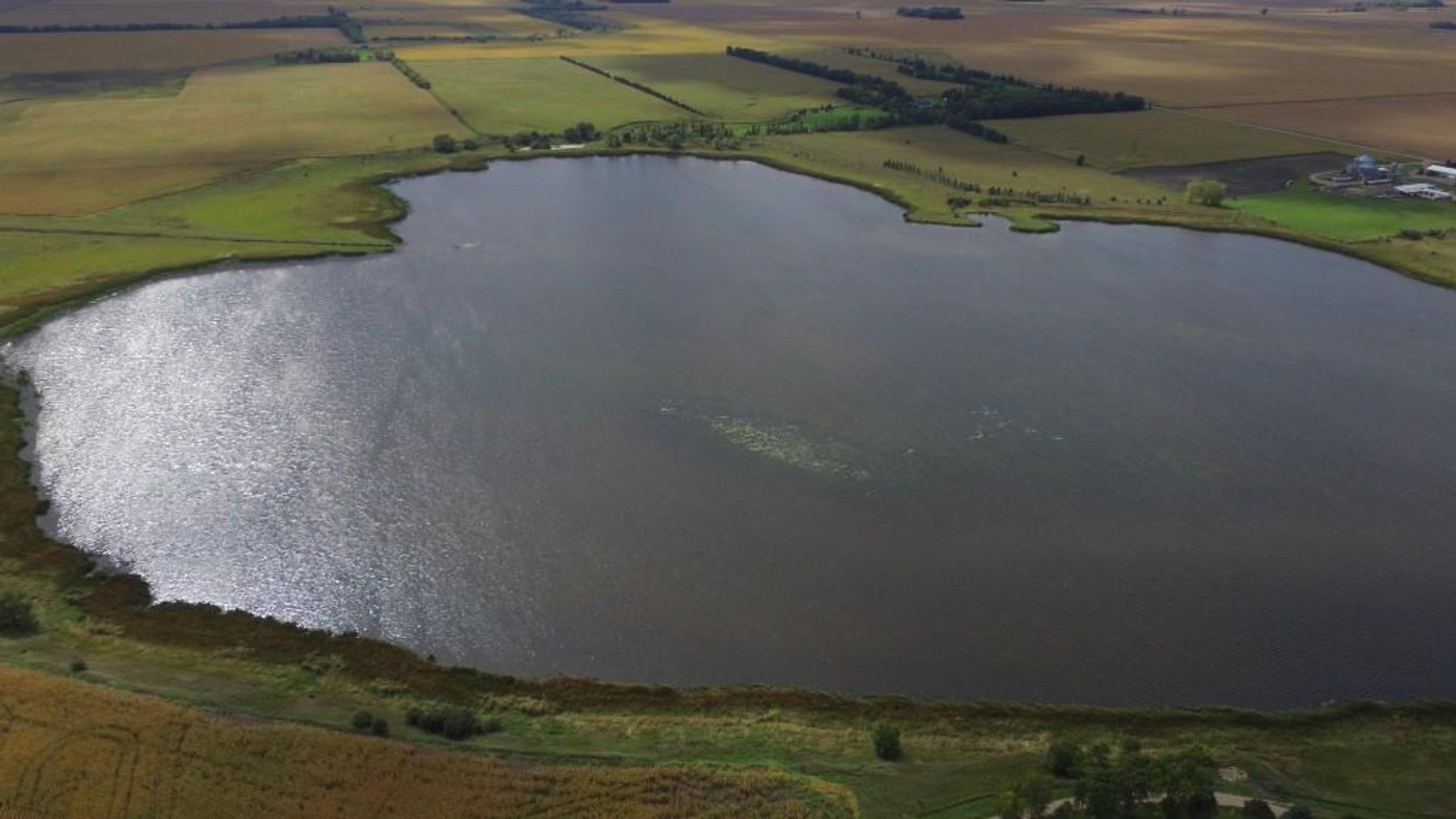 Image for NORMA JEAN SHELSTAD TRUST 181 ACRES IN STEVENS COUNTY MN ONLINE ONLY AUCTION