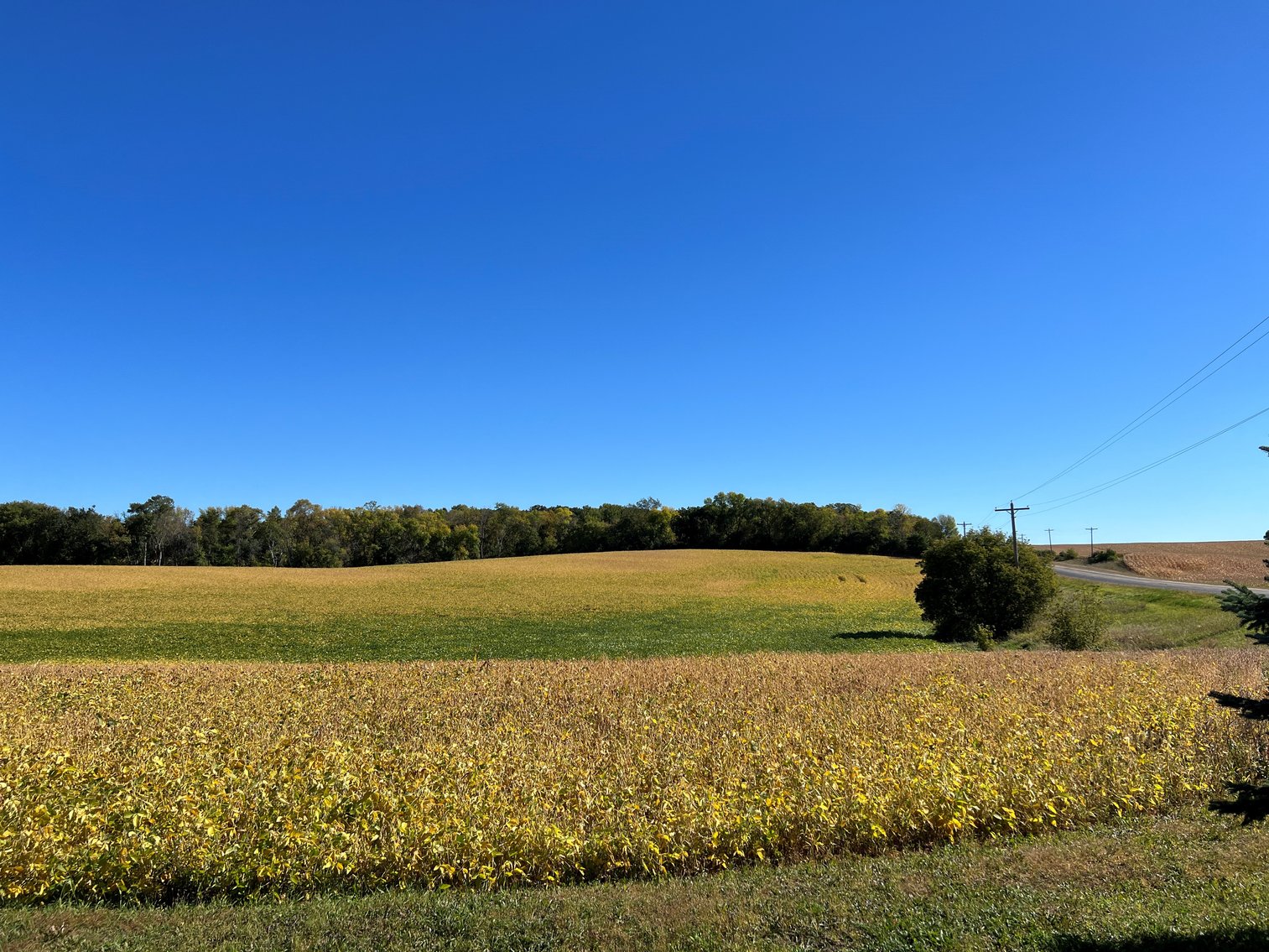 Image for Otter Tail County - Farm Land Auction