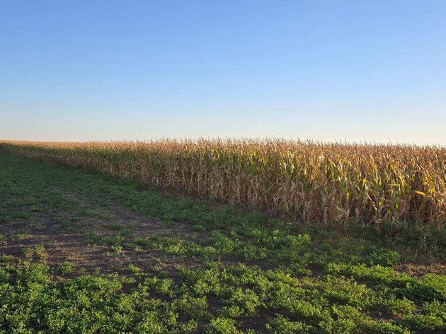 Image for Stevens County - Francis Hanrahan Estate - Farm Land Auction