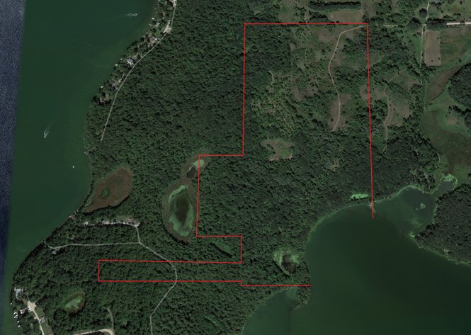 Image for Pope County - Goose Lake - Hunting/Lakeshore Land Auction