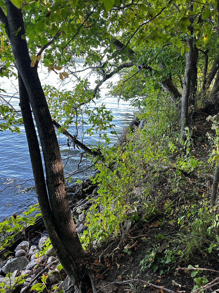 Image for Pope County - Goose Lake - Hunting/Lakeshore Land Auction