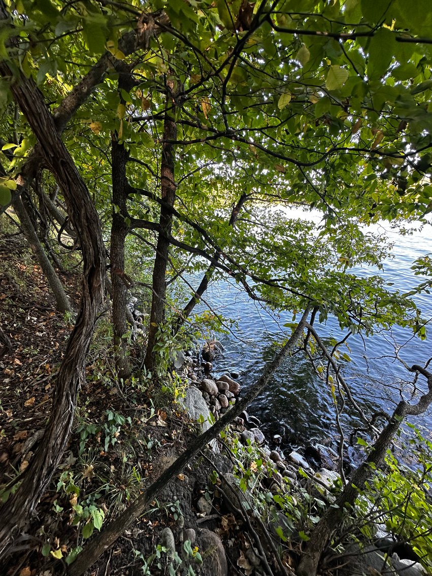 Image for Pope County - Goose Lake - Hunting/Lakeshore Land Auction