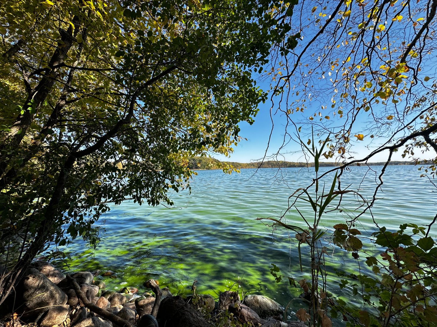 Image for Pope County - Goose Lake - Hunting/Lakeshore Land Auction