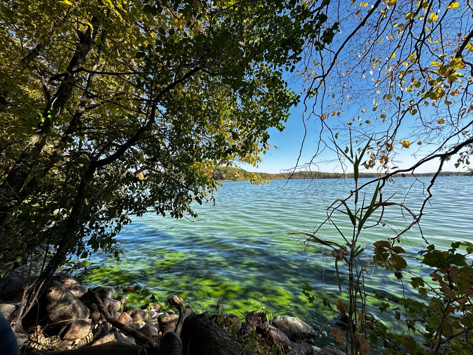 Image for Pope County - Goose Lake - Hunting/Lakeshore Land Auction