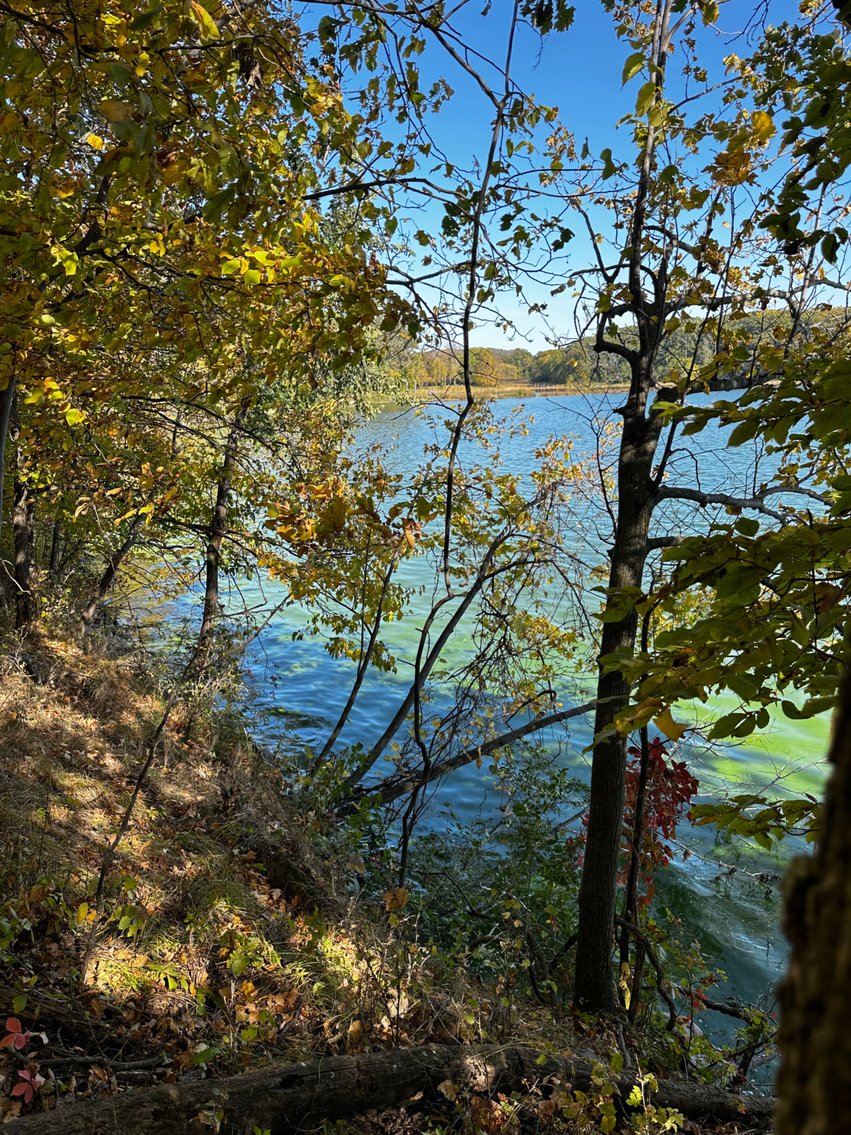 Image for Pope County - Goose Lake - Hunting/Lakeshore Land Auction