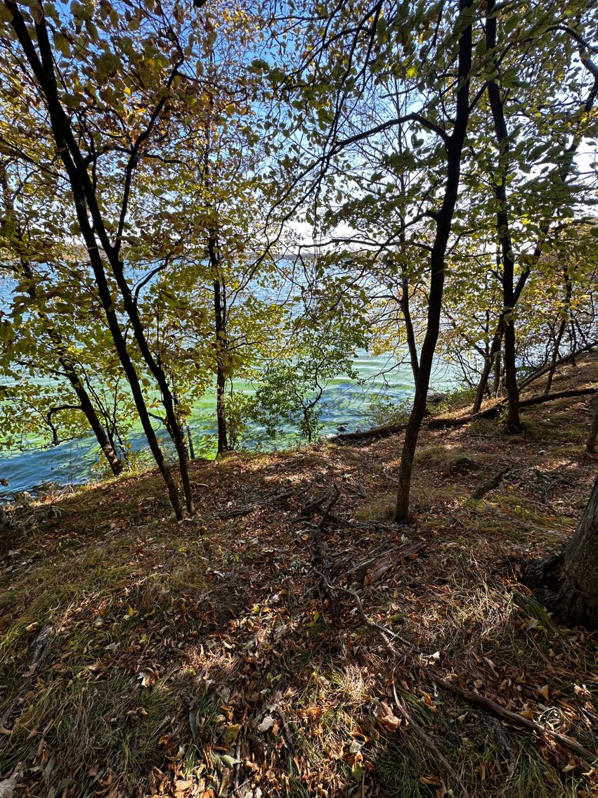 Image for Pope County - Goose Lake - Hunting/Lakeshore Land Auction